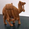 Wodoen Camel