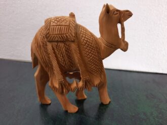 Wodoen Camel